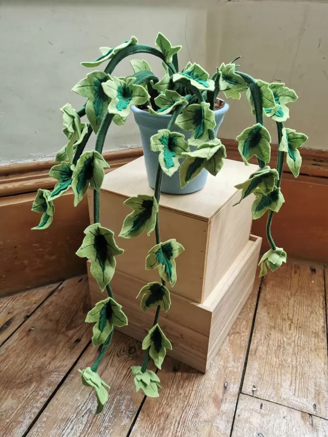 Trailing ivy felt houseplant