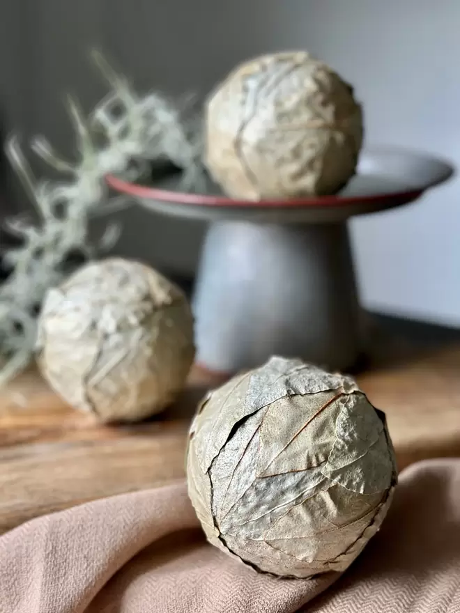 Three pressed leaf spheres, made from Oleaster, two leaf balls sit on a wooden table under a light brown cloth, the third leaf ball sits on a grey stand with Tillandsia draping alongside. 