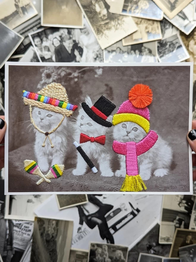 B&W print, 3 cats in embroidered sombrero, top hat and bobble hat, held against vintage photos