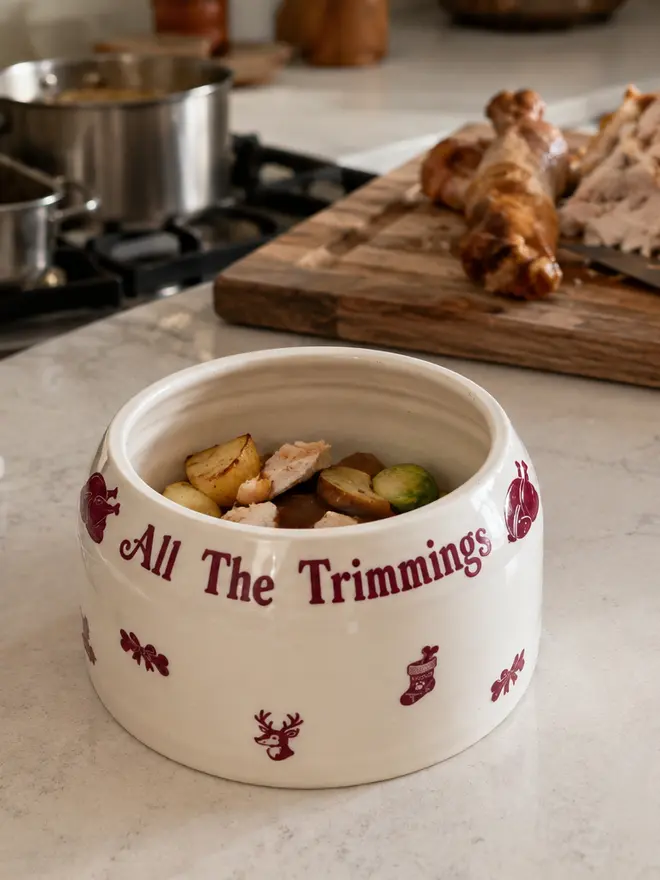 Christmas Cocker Spaniel Ear Free Bowl half-filled with turkey, roast potato, Brussels sprout and gravy in a contemporary kitchen.