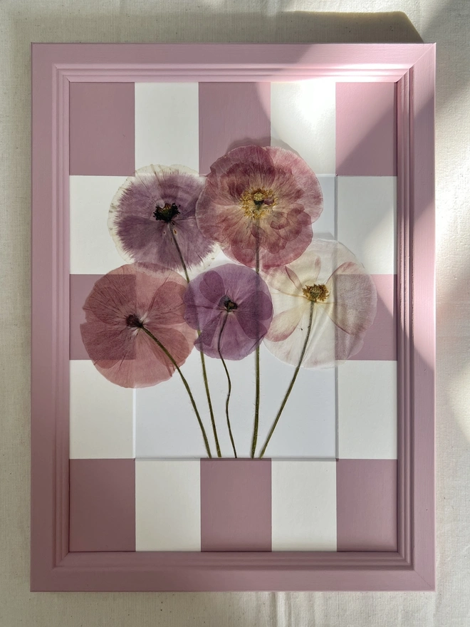 pressed poppy flowers in hand painted pink frame