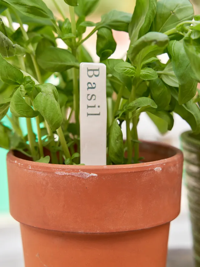 Ceramic plant herb marker