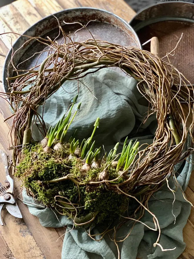 Spring Willow Door Wreath Muscari Bulb Planter