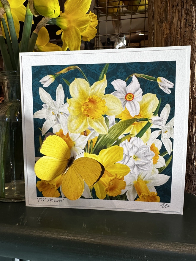 Mother’s day card, showing beautiful daffodils and white narcissi with a white butterfly. The card can be personalised on the bottom left corner. The camellias are against a stylish grey background. Sitting on the flower is a yellow Brimstone butterfly. The butterfly is 3 dimensional and the wings can be folded open for display. The card is sitting on a dresser displayed in the home setting.