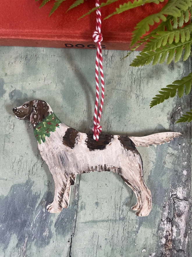 Springer Spaniel Dog Portrait decoration with Holly wreath and red and white bakers twine to hang