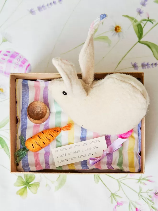 Pet Bunny In A Box