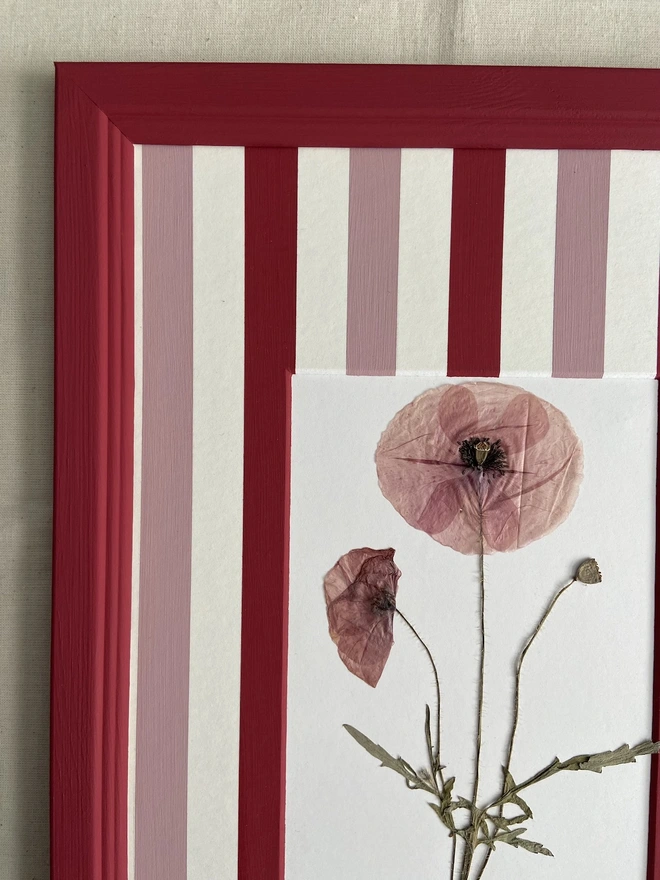 Top left corner of red painted frame with pressed poppy flower