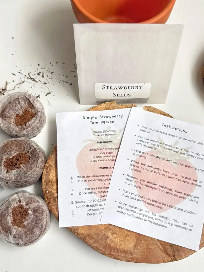 little green grow your own mini strawberries kit. instructions, seeds and equipment to grow strawberries.