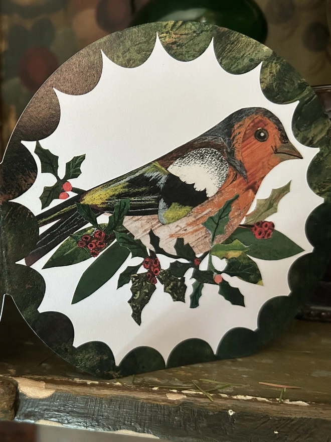 Chaffinch 