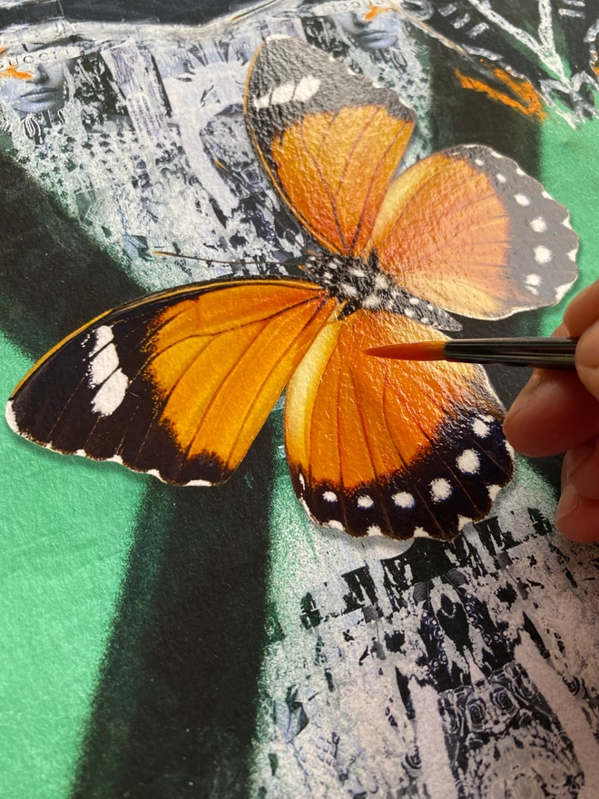 Varnishing the butterfly