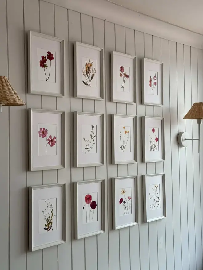 Pressed Wildflower Herbarium Print Collection (Set Of 12), a collection of flowery prints sitting hung up on a wall. 