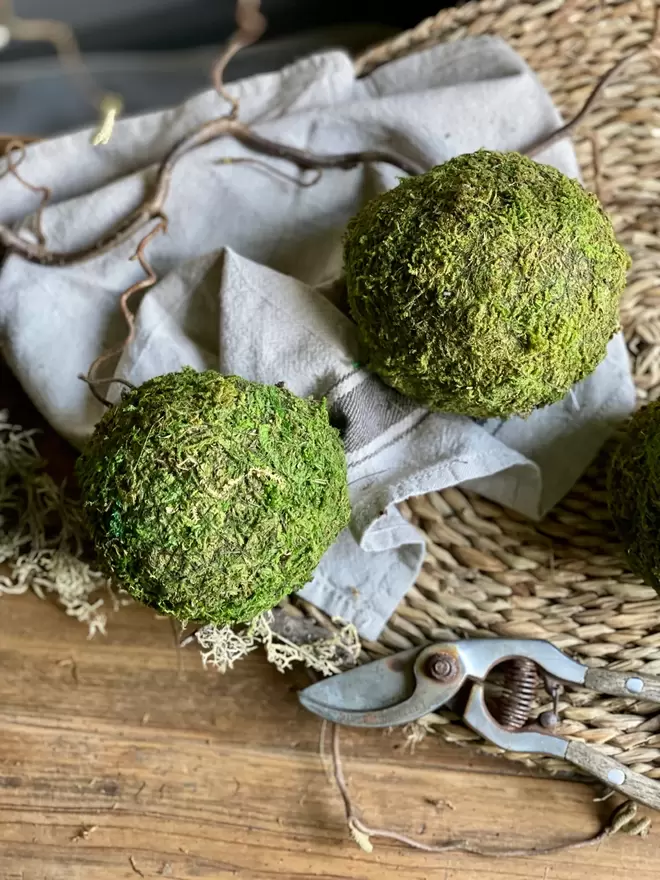 Three Moss Balls sit on a round rush place mat alongside a vintage white tea towel and small silver secateurs.  A scattering of delicate newly budding twine and moss sits alongside.