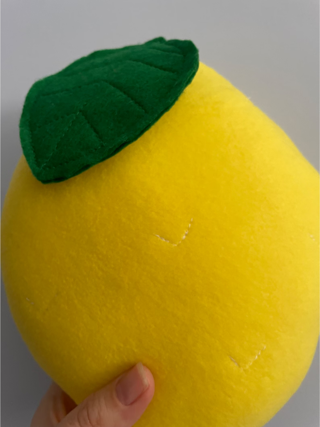 Lemon cushion