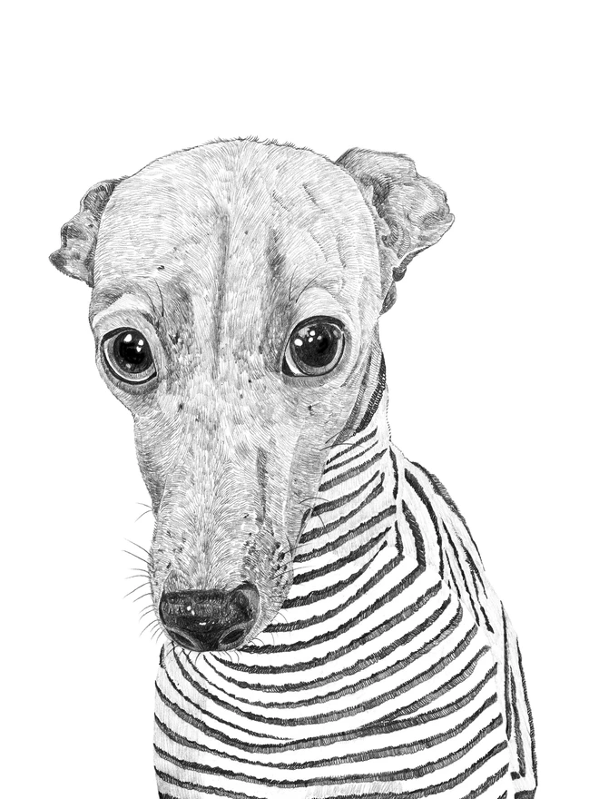 Detail of the whippet in a stripey jumper art print