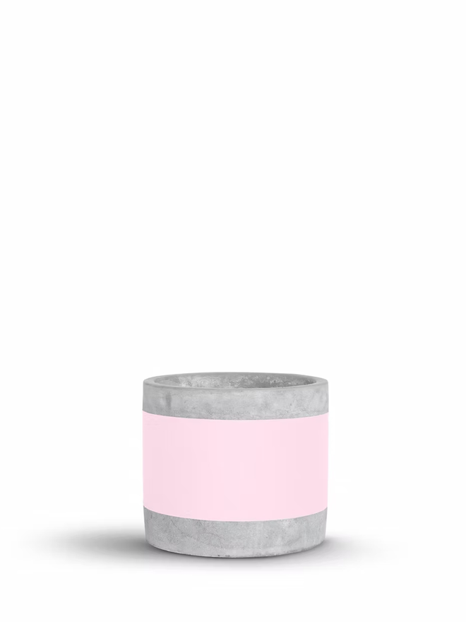 coloured middle concrete plant pot. a grey concrete plant pot with a bright pink stripe around the middle.