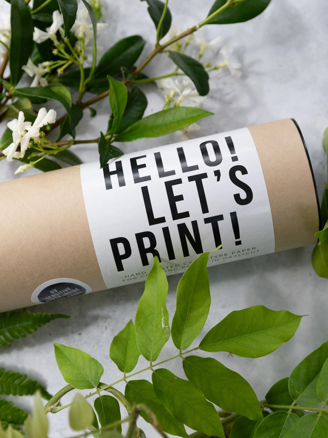 A3 Cyanotype Paper To Create Beautiful Prints With Sunlight