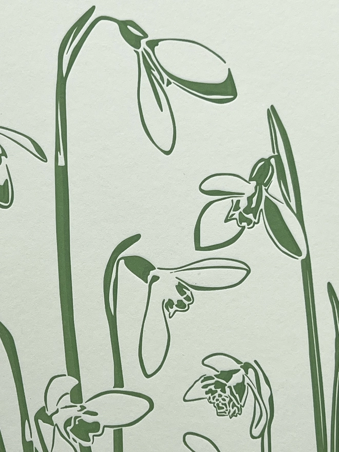 Close up of the petals on the snowdrop flowers