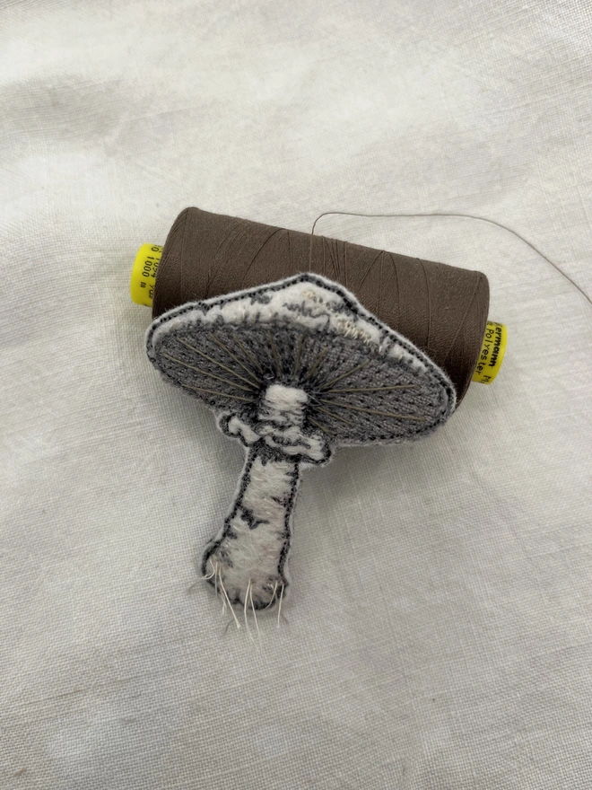 mushroom and reel