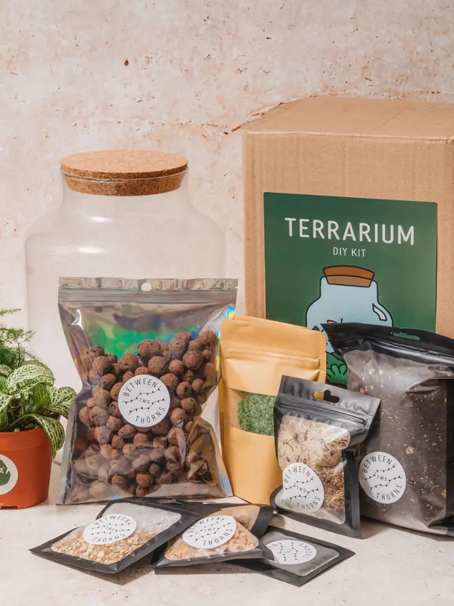 DIY Closed Terrarium Kit, scattered on a wooden table.