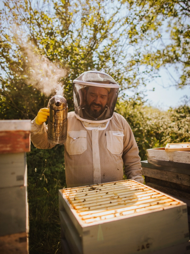 Beekeeper performing a hive inspection