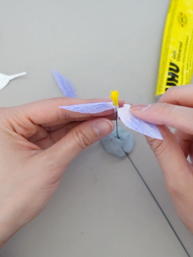 This is a process of making Crepe Paper Columbine Flower (Aquilegia).
