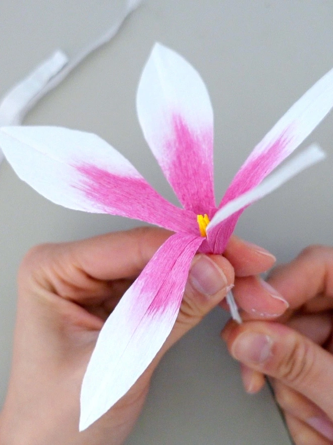 Crepe Paper Cyclamen