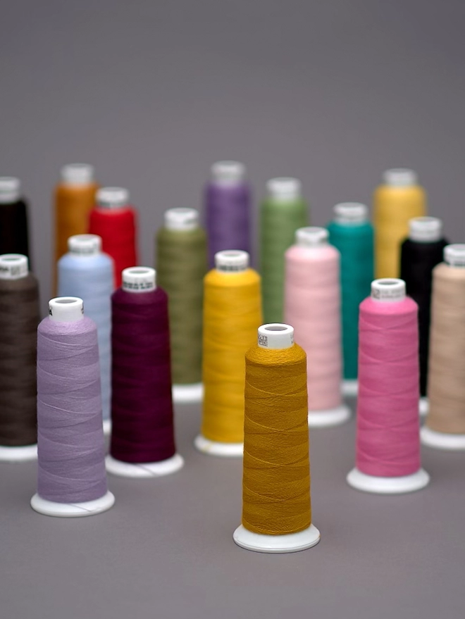 Colourful embroidery threads
