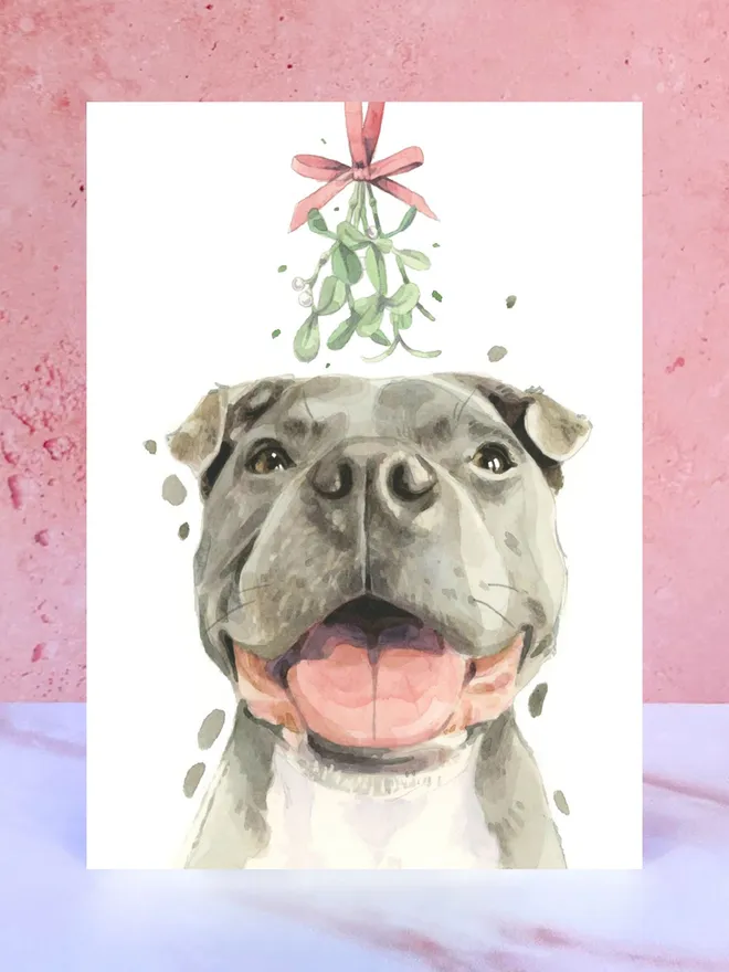 staffy dog mistletoe christmas card