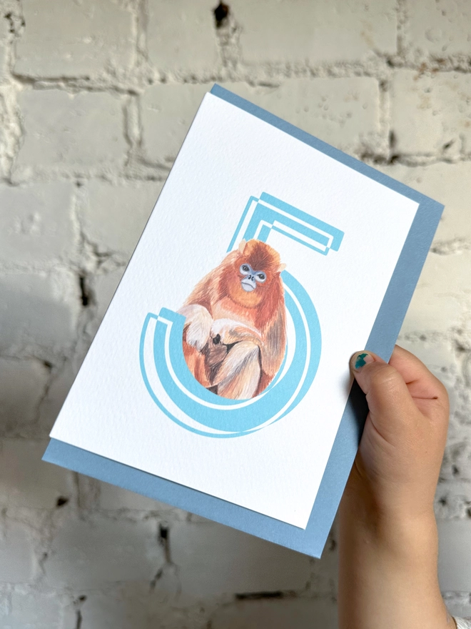 a white card with a big blue number 5 and a snub nose monkey illustration and a blue envelope