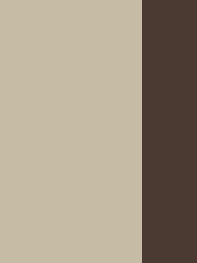 Beige/Brown Border