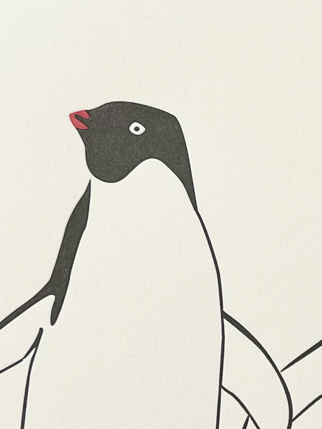Close up of one penguin showing it's orange beak 