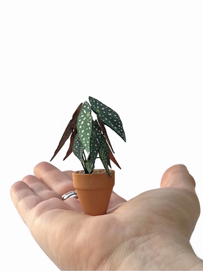A miniature replica Begonia Maculata polka dot paper plant ornament in a terracotta pot sat on the palm of a hand against a white background