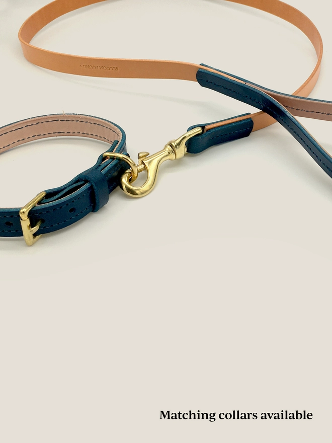 Blue Leather Dog Collar And Lead Cropped