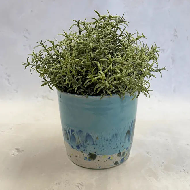 Shoreline Large Pot, a colourful pot placed on a stone surface. It is accompanied by a plant. 