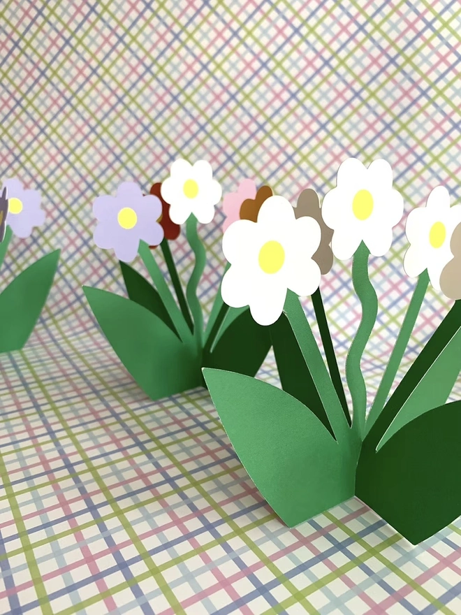 Standing Daisy Bloom 3D Pop Out Card