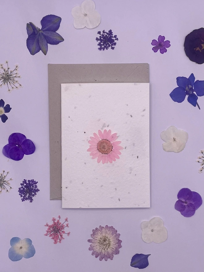 Real Pressed Flower Plantable Notecard, Pink Daisy