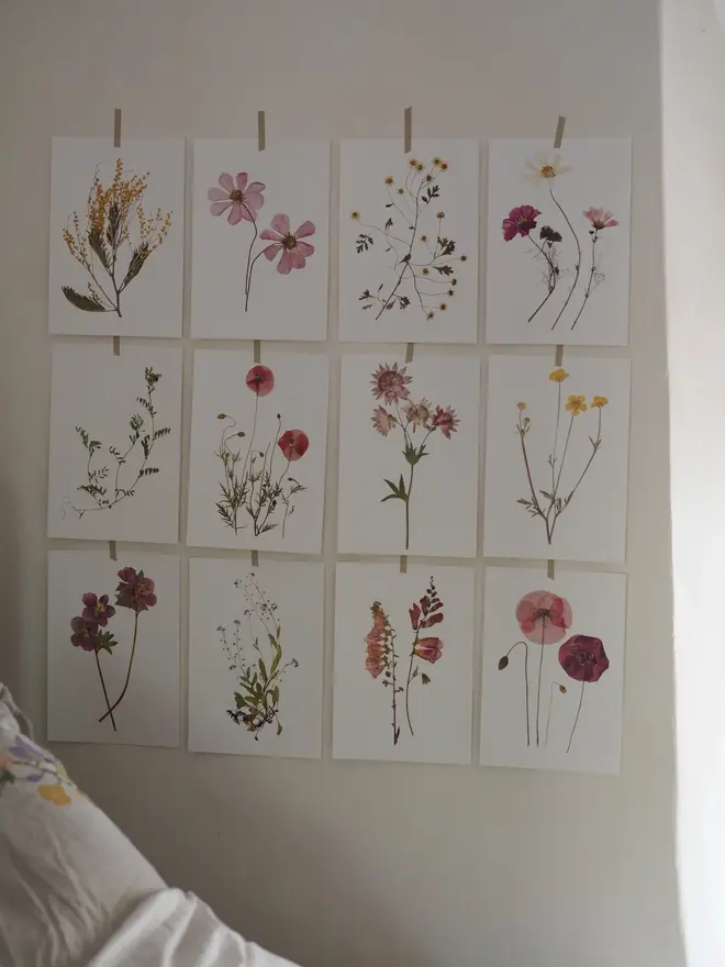 Pressed Wildflower Herbarium Print Collection (Set Of 12), a collection of flowery prints sitting hung up on a wall. 