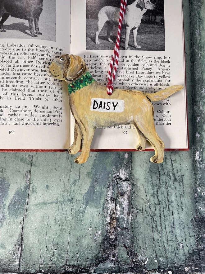 A  yellow labrador Christmas decoration placed on a book about dogs