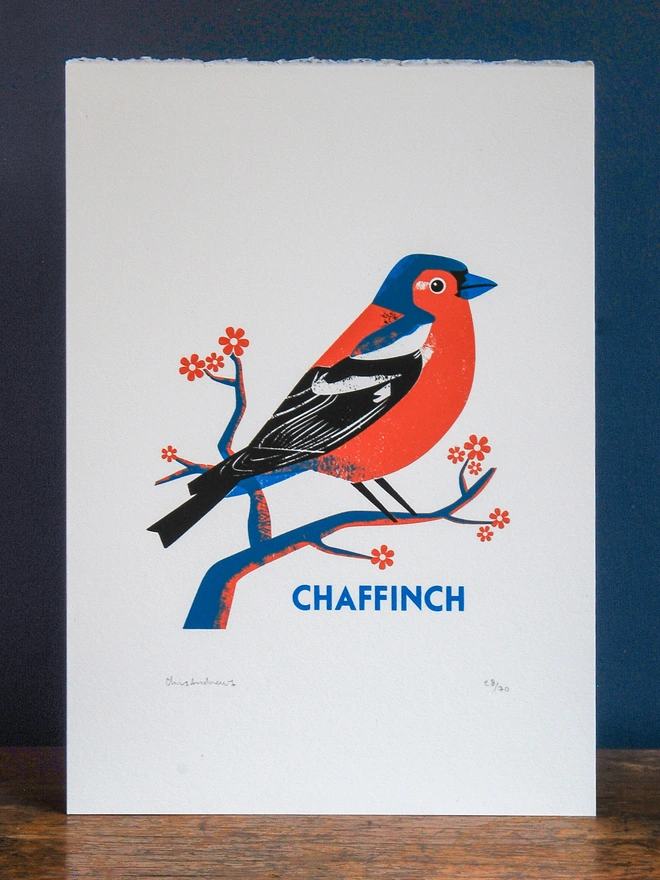 A screenprint of a Chafffinch bird on white paper against a navy blue background.