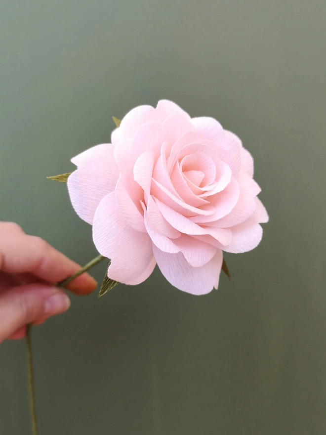 1 blush pink crepe paper rose