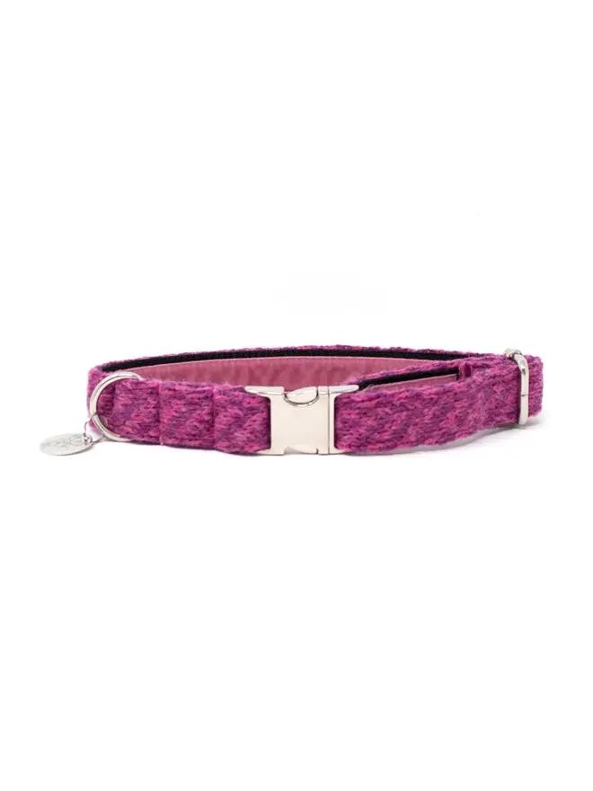 pink dog collar with metal fittings