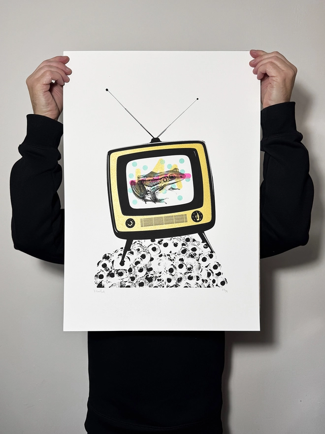 Froggy Vision_Screen Printed Large A2 Poster_Holly and Co_main image