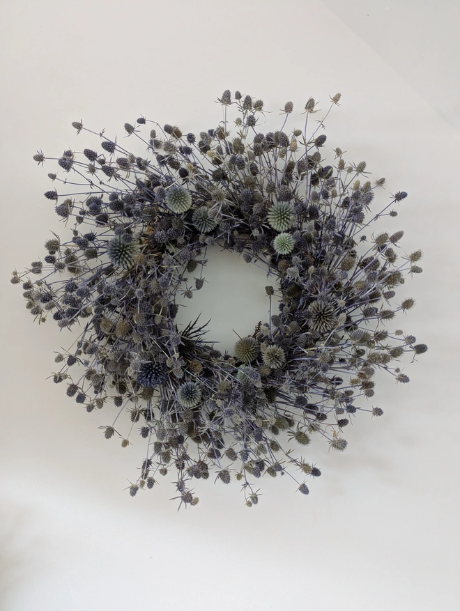 blue thistle wreath