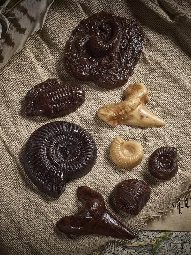 Selection of realistic edible chocolate fossils on cloth background