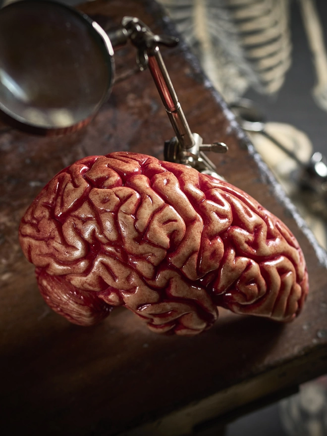Realistic edible chocolate human brain on antique table