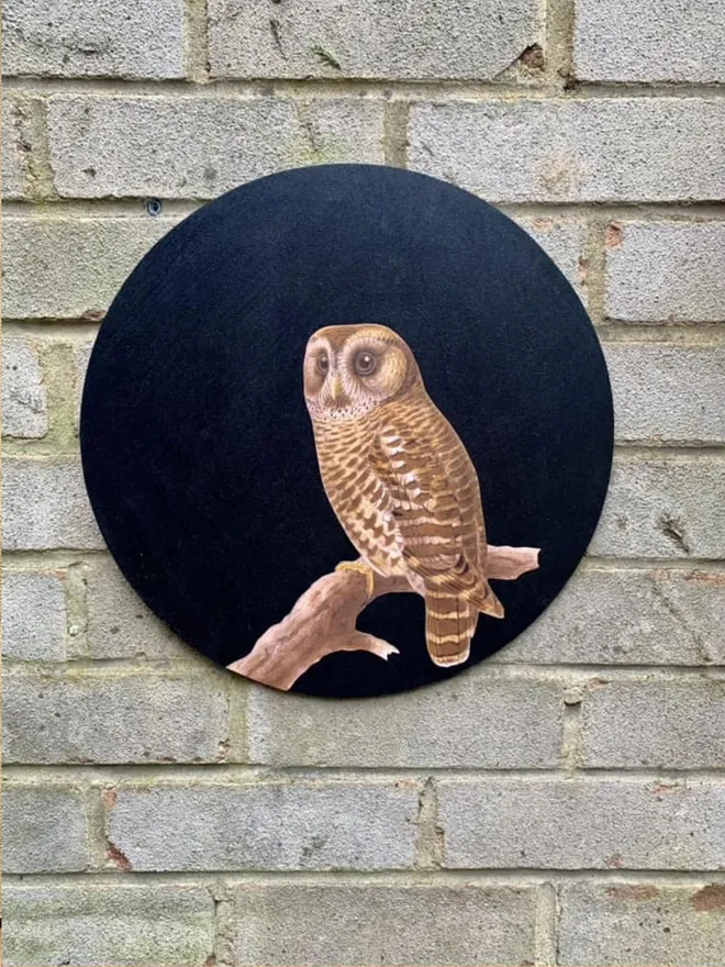 Round, black wall art with owl