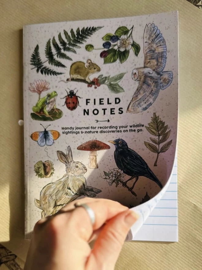 British Hedgerow Field Notes Journal, a stack of field notes journals sitting in a room. 