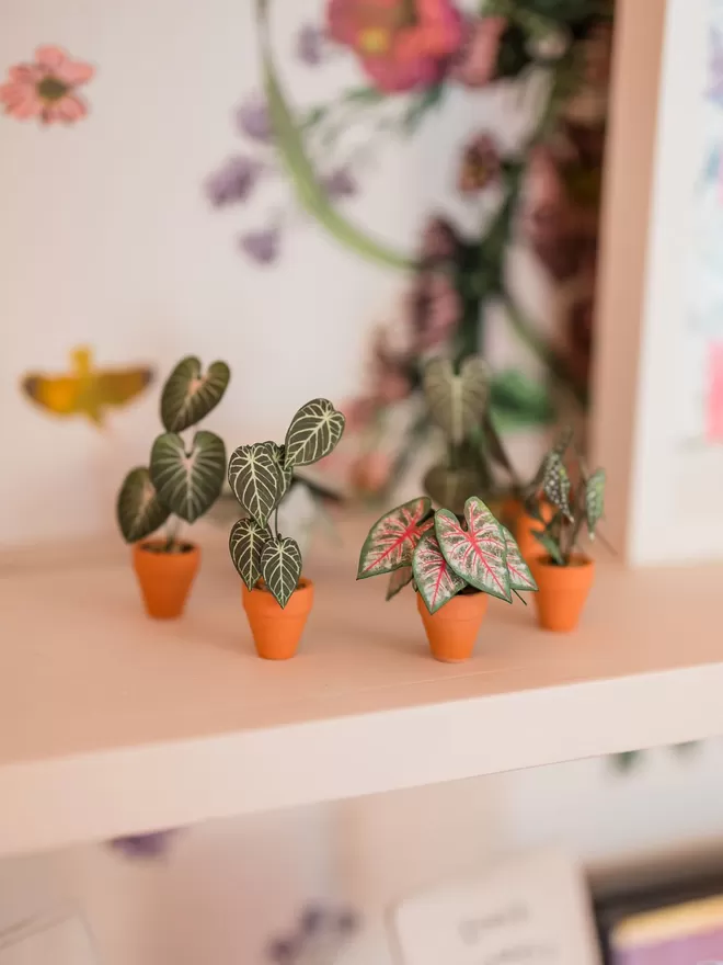 miniature paper potted plants