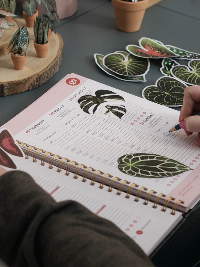 An open planner being written in, with a  variegated monstera sticker and an anthurium crystallinum sticker both stuck on an open page with another sticker being held in a hand ready to stick down. Paper plants in the background on a blue desk.