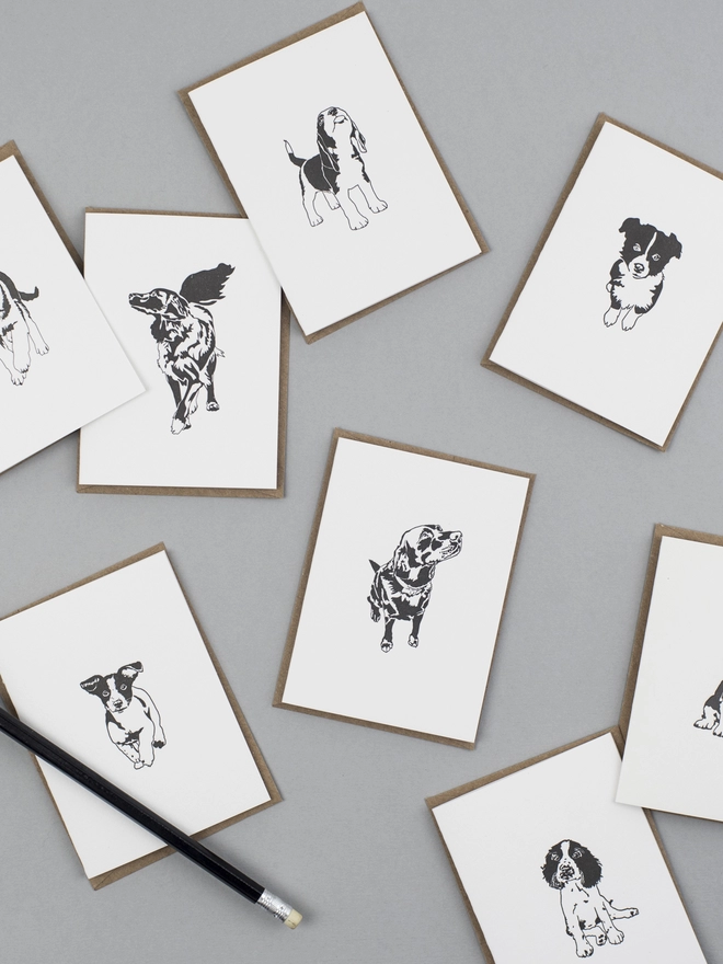 Country puppies are perfect way to send a note to a loved one, friend or neighbour 